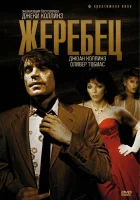  Жеребец смотреть онлайн (1978) 